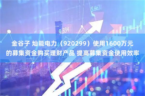 金谷子 灿能电力（920299）使用1600万元的募集资金购买理财产品 提高募集资金使用效率