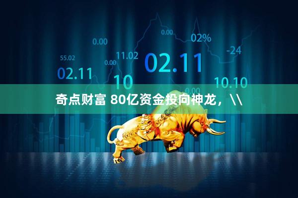 奇点财富 80亿资金投向神龙，\