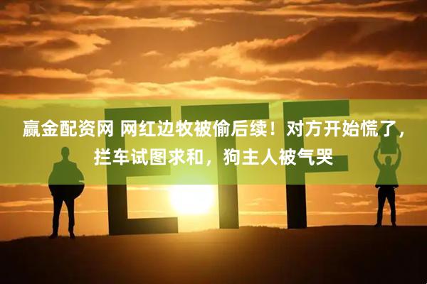赢金配资网 网红边牧被偷后续！对方开始慌了，拦车试图求和，狗主人被气哭